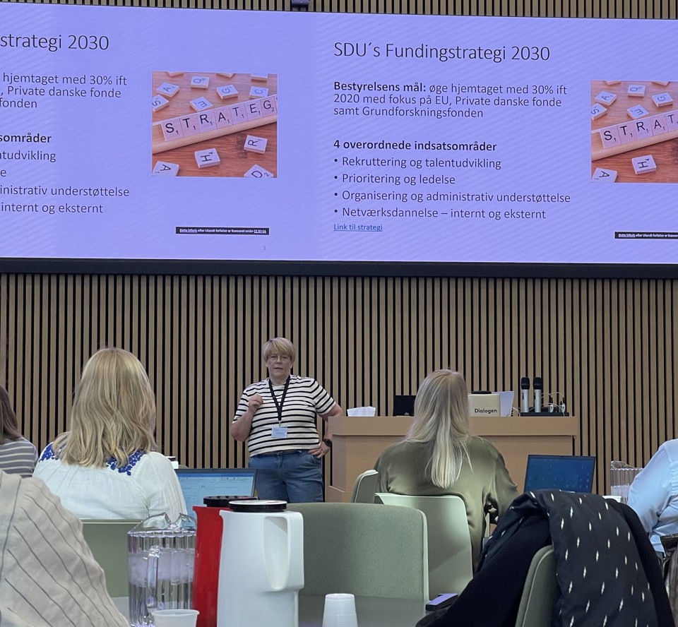 Lone Ladegaard Laursen, chefkonsulent, Syddansk Forskerstøtte